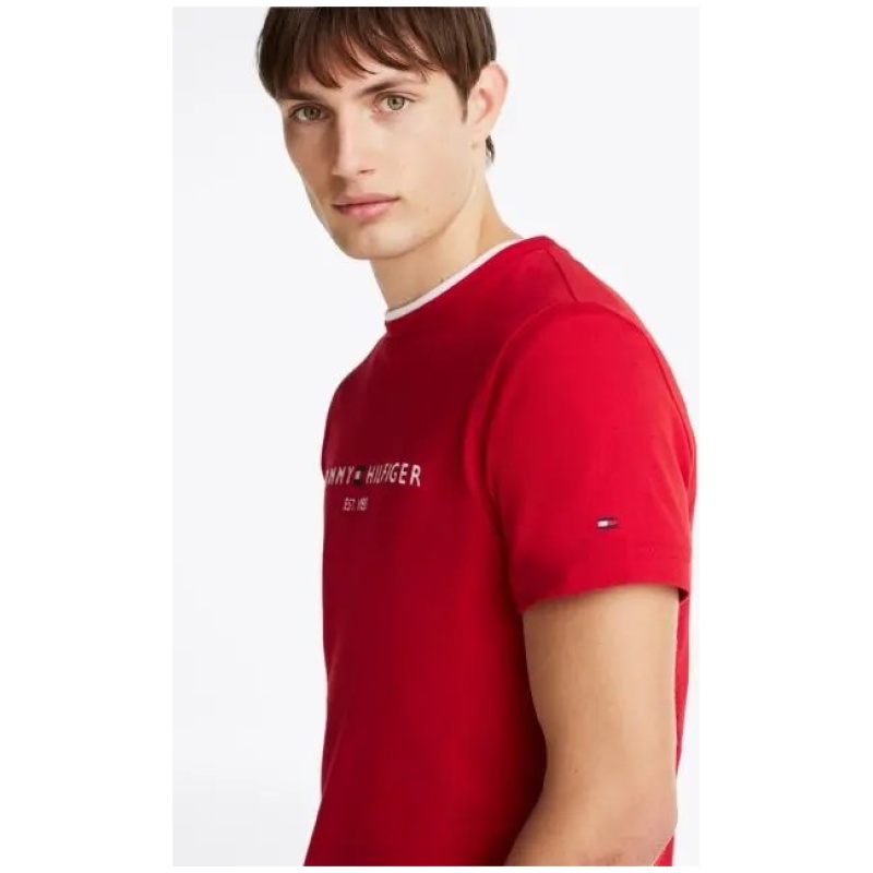 TOMMY HILFIGER Logo tee
